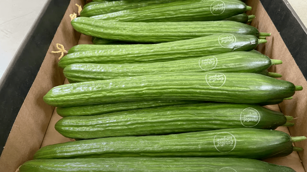 komkommers gelabeld met natural branding van EcoMark